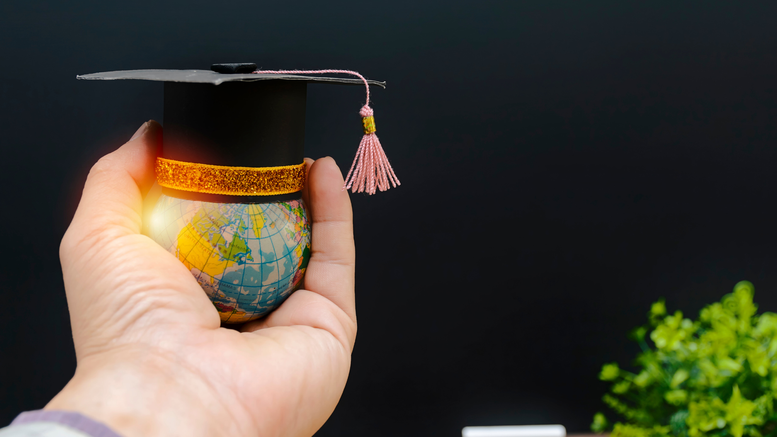 Jobs & Business Ready Opportunities